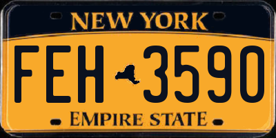 NY license plate FEH3590