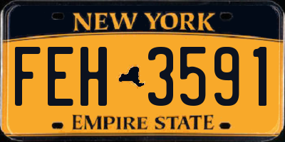 NY license plate FEH3591