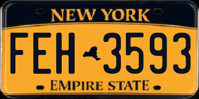 NY license plate FEH3593