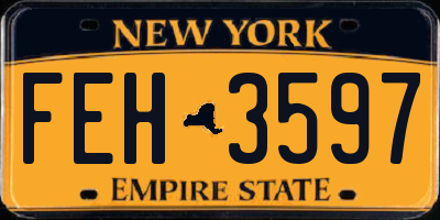 NY license plate FEH3597
