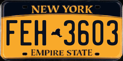 NY license plate FEH3603