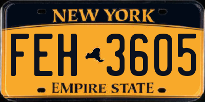 NY license plate FEH3605
