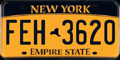 NY license plate FEH3620