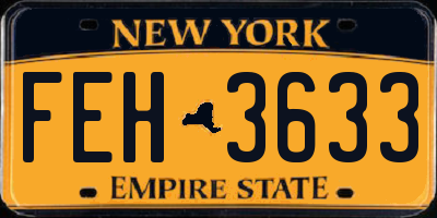 NY license plate FEH3633