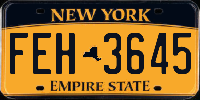 NY license plate FEH3645