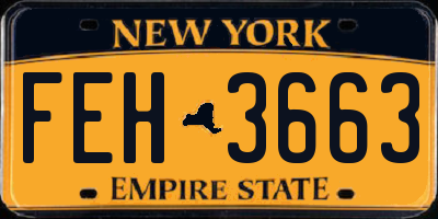 NY license plate FEH3663