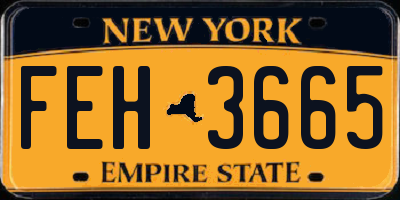 NY license plate FEH3665