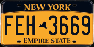 NY license plate FEH3669