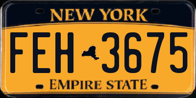 NY license plate FEH3675