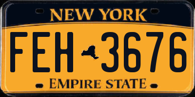 NY license plate FEH3676