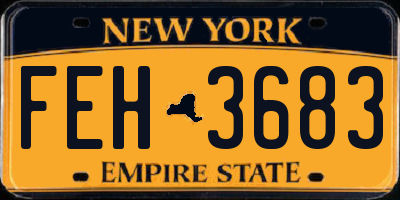 NY license plate FEH3683