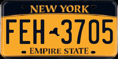 NY license plate FEH3705