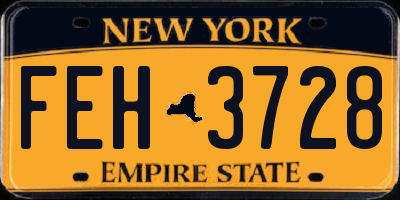 NY license plate FEH3728