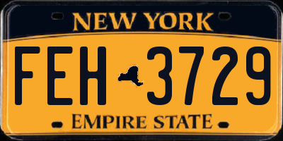 NY license plate FEH3729