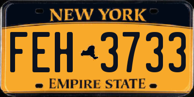 NY license plate FEH3733