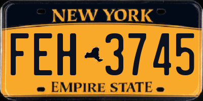 NY license plate FEH3745