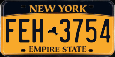 NY license plate FEH3754