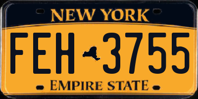 NY license plate FEH3755