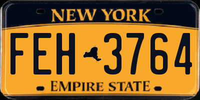 NY license plate FEH3764