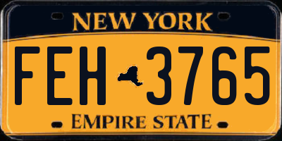 NY license plate FEH3765
