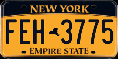NY license plate FEH3775