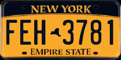 NY license plate FEH3781