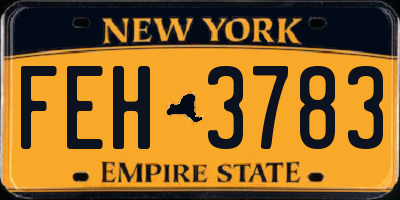 NY license plate FEH3783