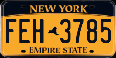 NY license plate FEH3785