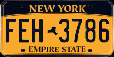 NY license plate FEH3786