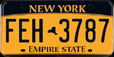 NY license plate FEH3787