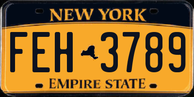 NY license plate FEH3789