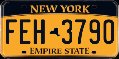 NY license plate FEH3790