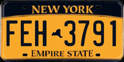 NY license plate FEH3791