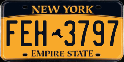 NY license plate FEH3797