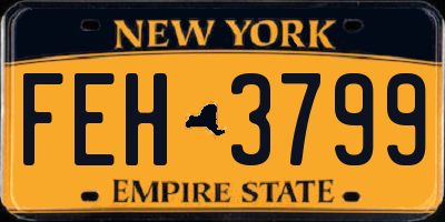 NY license plate FEH3799