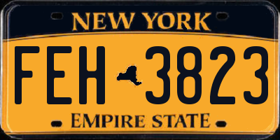 NY license plate FEH3823