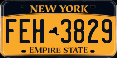 NY license plate FEH3829