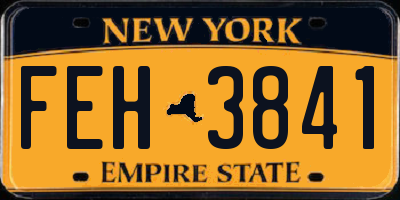 NY license plate FEH3841