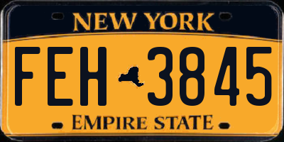 NY license plate FEH3845