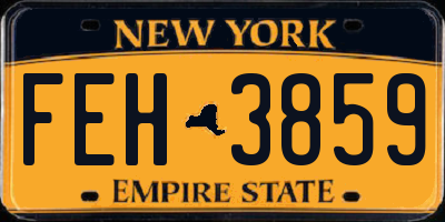 NY license plate FEH3859