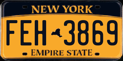 NY license plate FEH3869
