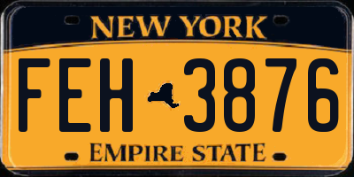 NY license plate FEH3876