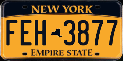 NY license plate FEH3877