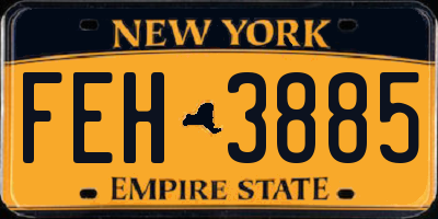 NY license plate FEH3885