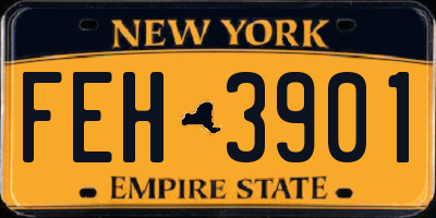 NY license plate FEH3901