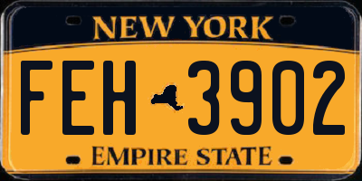 NY license plate FEH3902