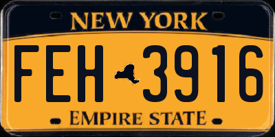 NY license plate FEH3916