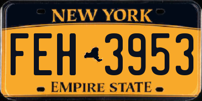 NY license plate FEH3953