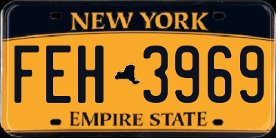NY license plate FEH3969