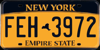 NY license plate FEH3972
